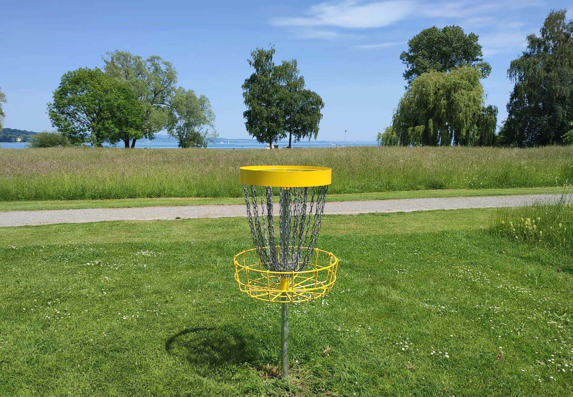 Gelber Disc Golf Korb auf der Wiese im Seeburgpark, im Hintergrund der Bodensee